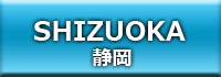 静岡 中国人・外国人向け風俗情報サイト